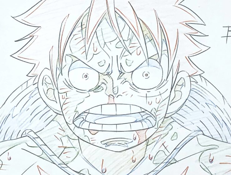 Details on Monkey D. Luffy – One Piece – douga #1